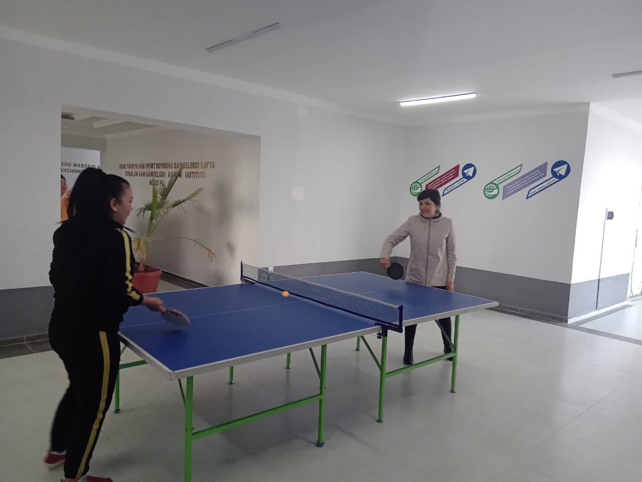 “STOL TENNISI” SPORT TÚRI BOYINSHA JARIS