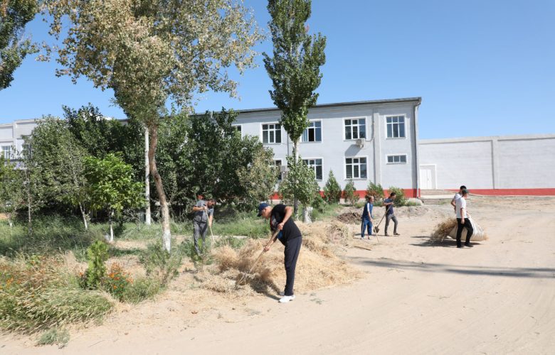 Субботник-2024